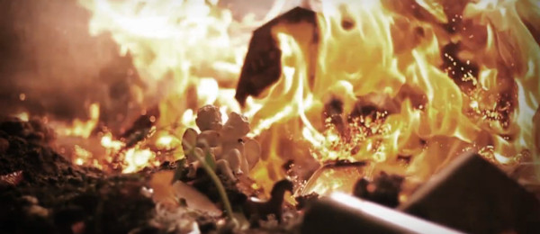 „Fire“ – King With No Throne – Filmstill