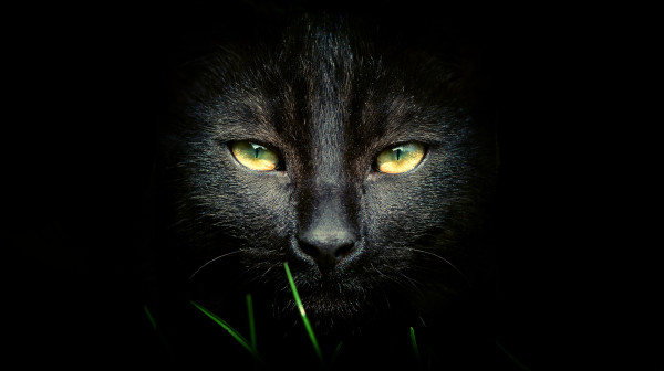 Hexenmilch – Filmstill